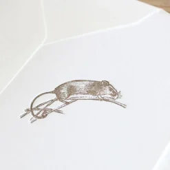 Cottontails Baby Cards*Cottontails handmade card - field mouse