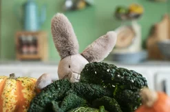 Cottontails Baby Soft Toy Bunnies|Bunnies For Babies*Moulin Roty Clay the Bunny - 35cm
