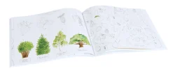 Cottontails Baby Craft & Stickers|Garden & Nature*Moulin Roty Garden Activity book