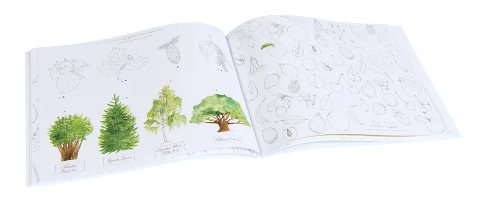 Cottontails Baby Craft & Stickers|Garden & Nature*Moulin Roty Garden Activity book