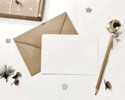 Cottontails Baby Cards*Postcard & Envelope - Foraging Hedgehog