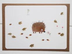 Cottontails Baby Cards*Postcard & Envelope - Little Hedgehog