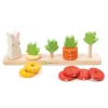 Cottontails Baby Wooden Bunnies|Wooden Toys*Tender Leaf Wooden Toy - Counting Carrots