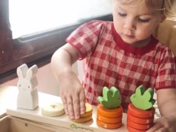 Cottontails Baby Wooden Bunnies|Wooden Toys*Tender Leaf Wooden Toy - Counting Carrots