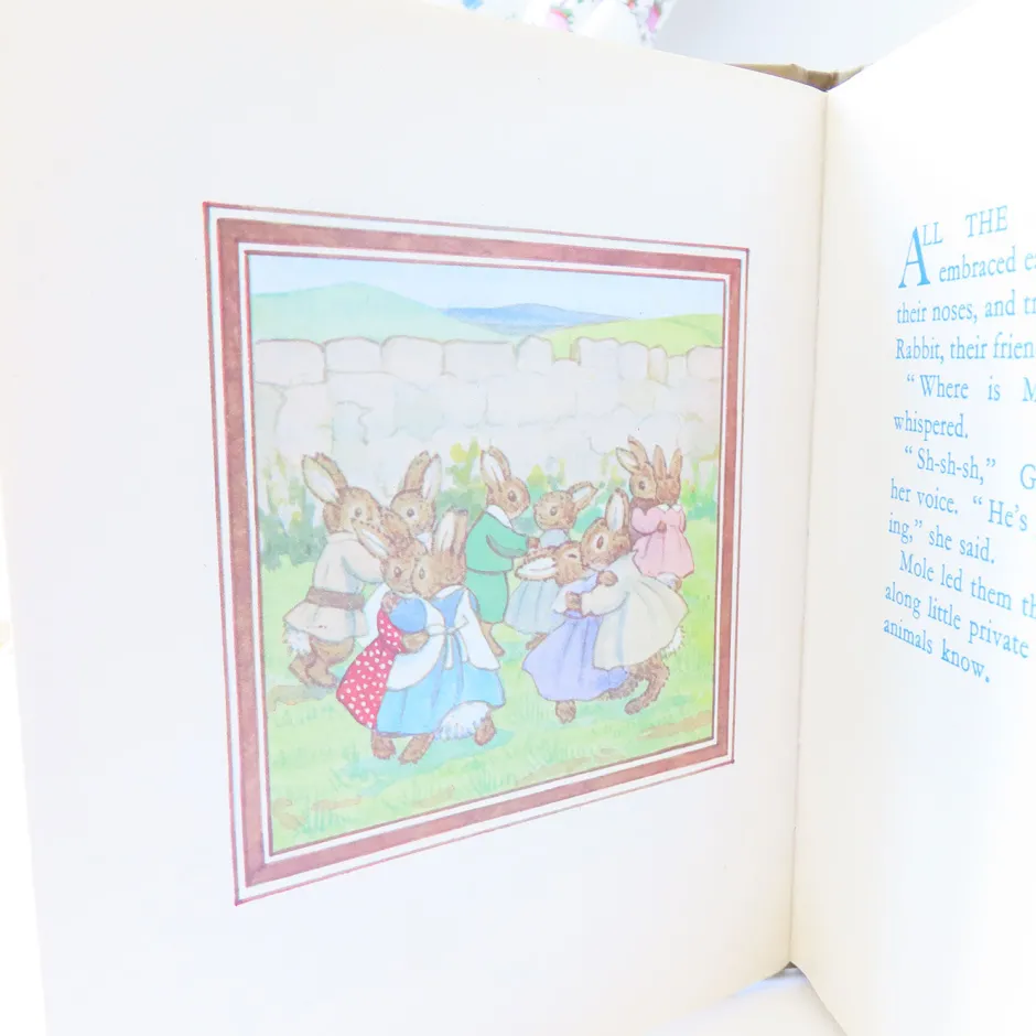 Cottontails Baby Vintage|Vintage Bunnies*VINTAGE book - Moldy warp the Mole (1975)