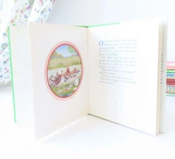 Cottontails Baby Vintage|Vintage Bunnies*VINTAGE book - Water-Rat's Picnic (1969)