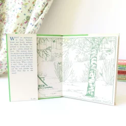 Cottontails Baby Vintage|Vintage Bunnies*VINTAGE book - Water-Rat's Picnic (1969)