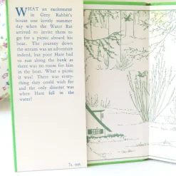 Cottontails Baby Vintage|Vintage Bunnies*VINTAGE book - Water-Rat's Picnic (1969)