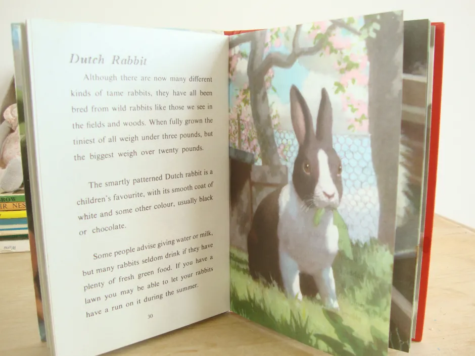 Cottontails Baby Vintage*VINTAGE Ladybird - Book of Pets (1967)