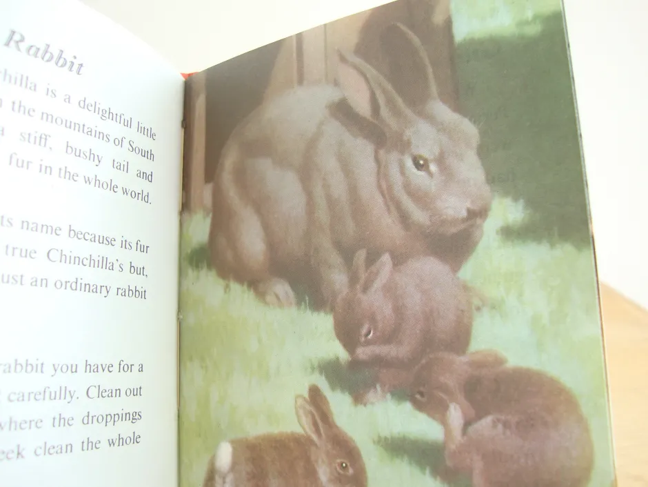 Cottontails Baby Vintage*VINTAGE Ladybird - Book of Pets (1967)