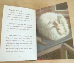 Cottontails Baby Vintage*VINTAGE Ladybird - Book of Pets (1967)