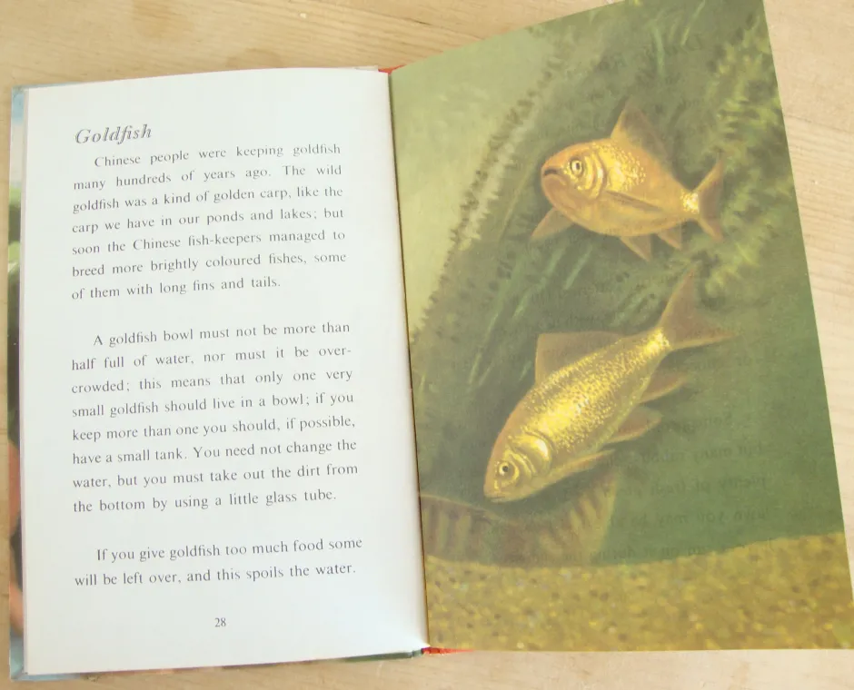 Cottontails Baby Vintage*VINTAGE Ladybird - Book of Pets (1967)