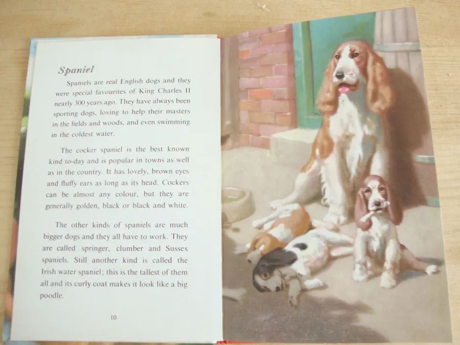 Cottontails Baby Vintage*VINTAGE Ladybird - Book of Pets (1967)