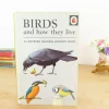 Cottontails Baby Vintage*VINTAGE Ladybird book - Birds and How They Live (1969)