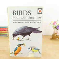 Cottontails Baby Vintage*VINTAGE Ladybird book - Birds and How They Live (1969)
