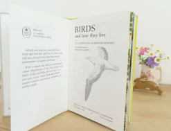 Cottontails Baby Vintage*VINTAGE Ladybird book - Birds and How They Live (1969)