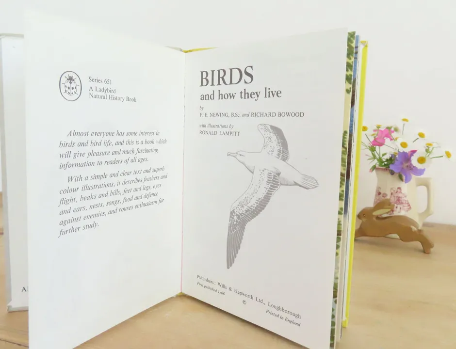 Cottontails Baby Vintage*VINTAGE Ladybird book - Birds and How They Live (1969)