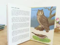 Cottontails Baby Vintage*VINTAGE Ladybird book - Birds and How They Live (1969)