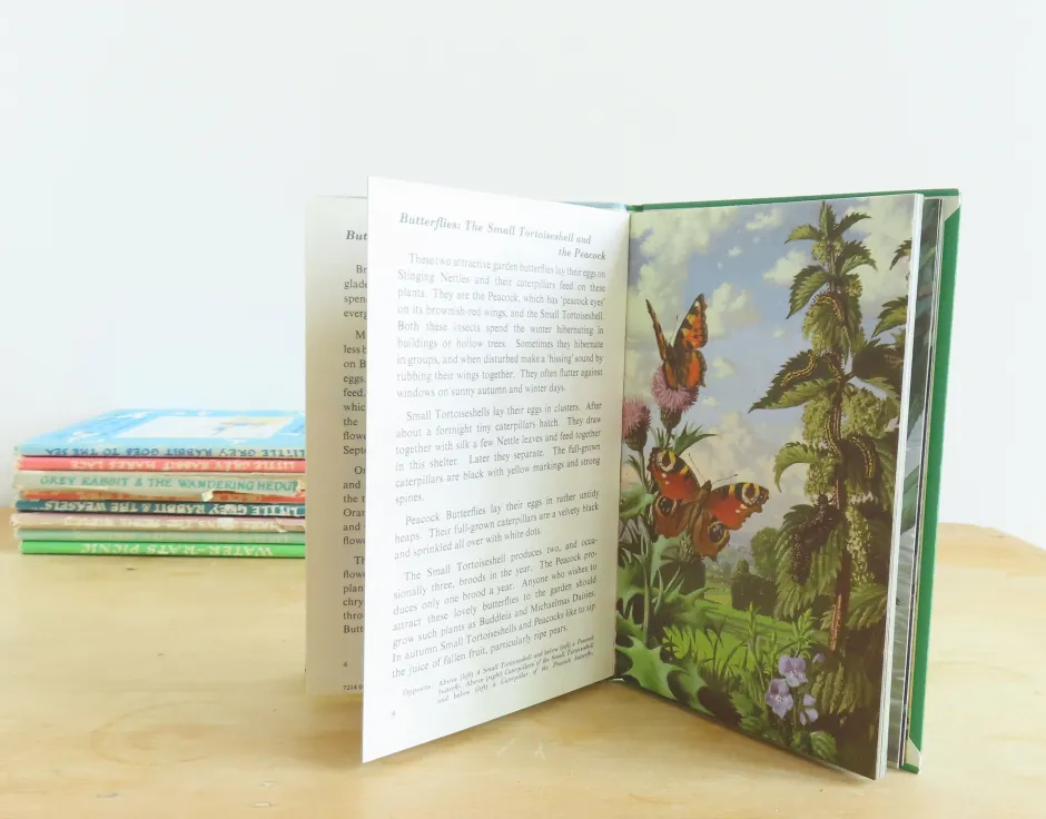 Cottontails Baby Vintage*VINTAGE Ladybird book - Butterflies. Moths and Other Insects (1974/5)