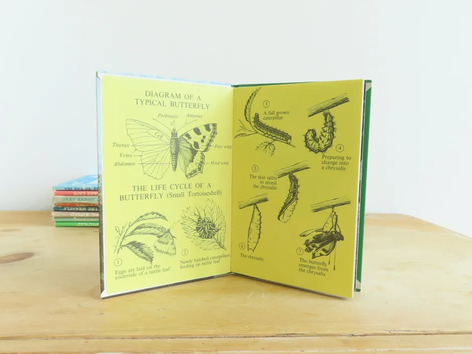 Cottontails Baby Vintage*VINTAGE Ladybird book - Butterflies. Moths and Other Insects (1974/5)