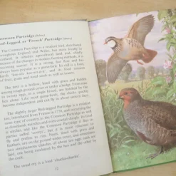 Cottontails Baby Vintage*VINTAGE Ladybird book - Heath & Woodland Birds (mid 1970s)