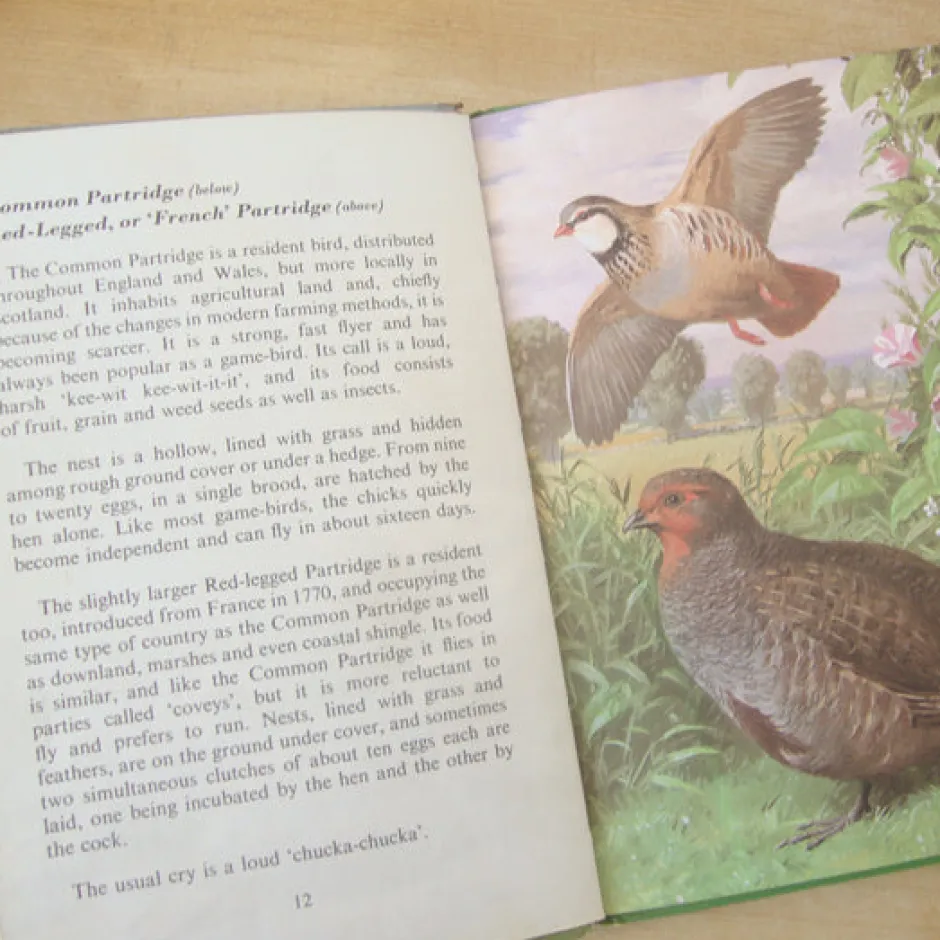 Cottontails Baby Vintage*VINTAGE Ladybird book - Heath & Woodland Birds (mid 1970s)