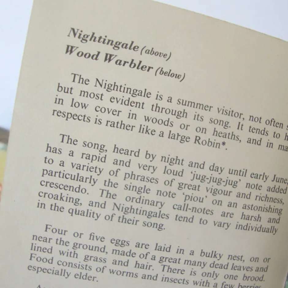 Cottontails Baby Vintage*VINTAGE Ladybird book - Heath & Woodland Birds (mid 1970s)