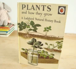 Cottontails Baby Vintage*VINTAGE Ladybird book - Plants and how they Grow (c. 1971)
