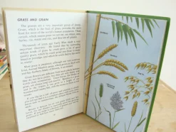 Cottontails Baby Vintage*VINTAGE Ladybird book - Plants and how they Grow (c. 1971)