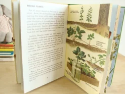 Cottontails Baby Vintage*VINTAGE Ladybird book - Plants and how they Grow (c. 1971)