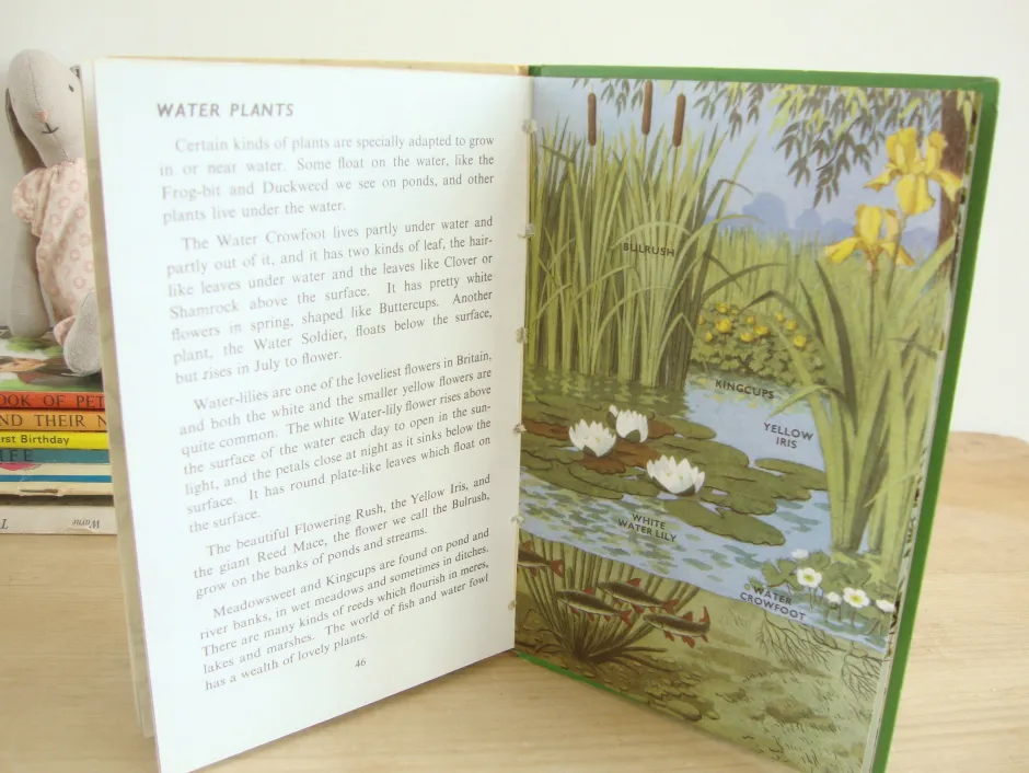 Cottontails Baby Vintage*VINTAGE Ladybird book - Plants and how they Grow (c. 1971)