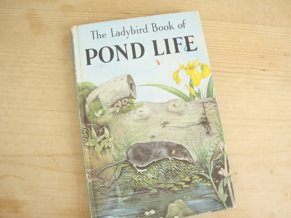 Cottontails Baby Vintage*VINTAGE Ladybird book - Pond Life (1966)