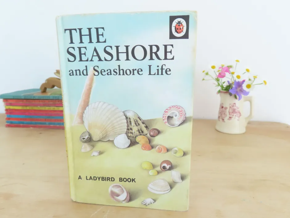 Cottontails Baby Vintage*VINTAGE Ladybird book - The Seashore (1970s)