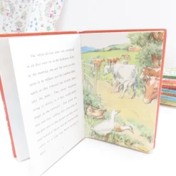 Cottontails Baby Vintage*VINTAGE Ladybird book - Beaky the Greedy Duck (mid 1960s)