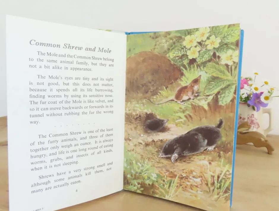 Cottontails Baby Vintage*VINTAGE Ladybird book - British Wild Animals (1971)