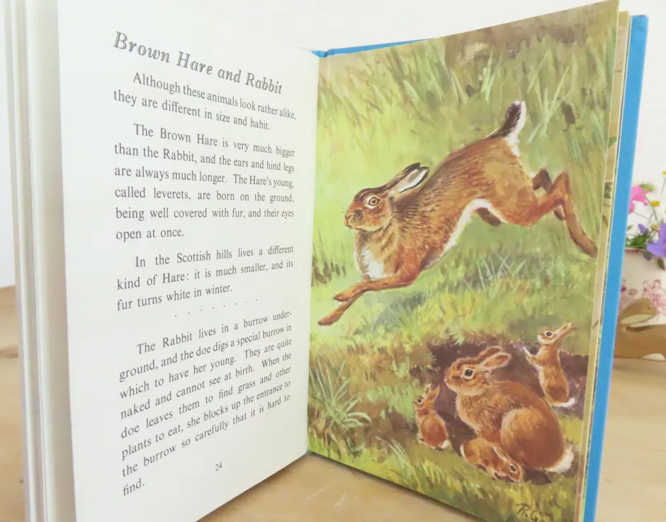Cottontails Baby Vintage*VINTAGE Ladybird book - British Wild Animals (1971)