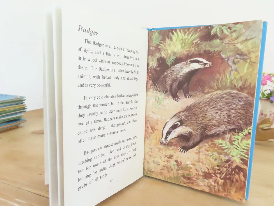 Cottontails Baby Vintage*VINTAGE Ladybird book - British Wild Animals (1971)