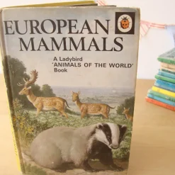 Cottontails Baby Vintage*VINTAGE Ladybird book - European Mammals (early 1970s)