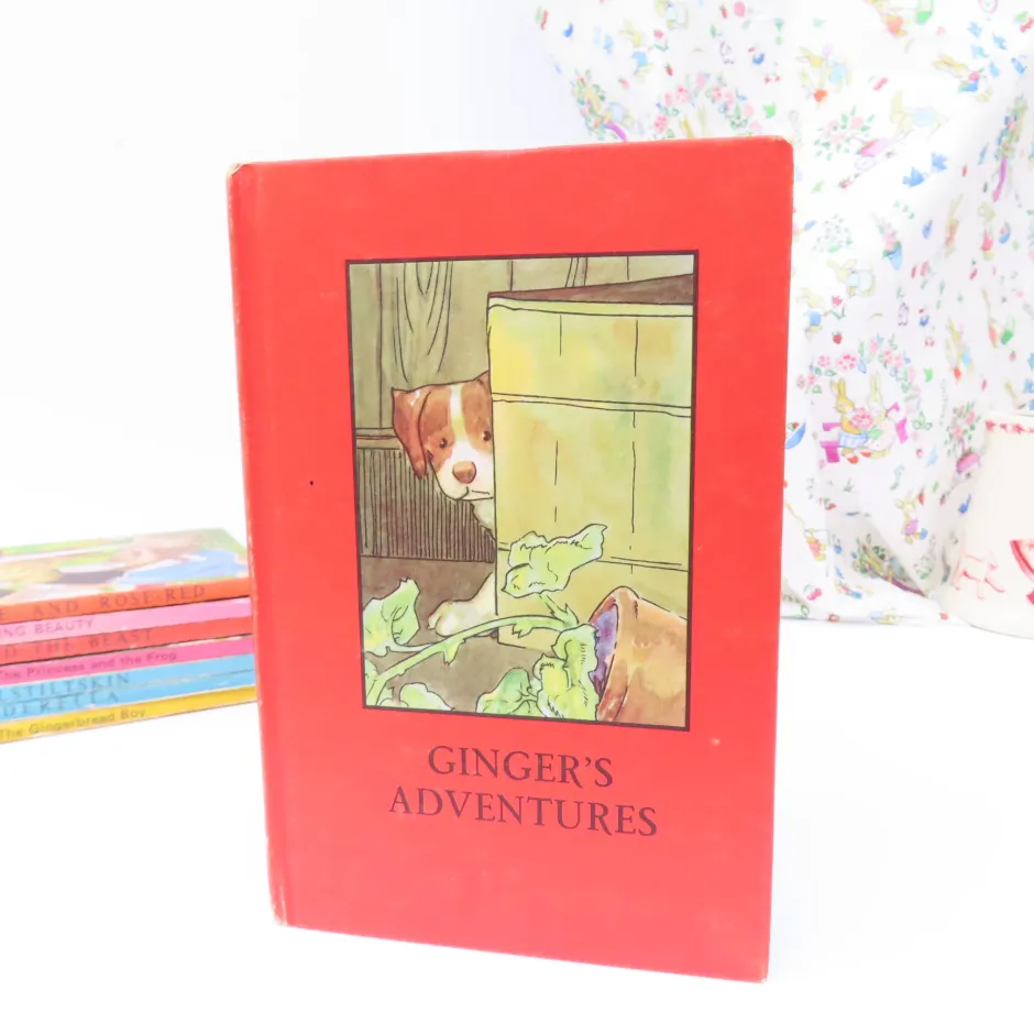 Cottontails Baby Vintage*VINTAGE Ladybird book - Ginger's Adventures (mid 1960s)