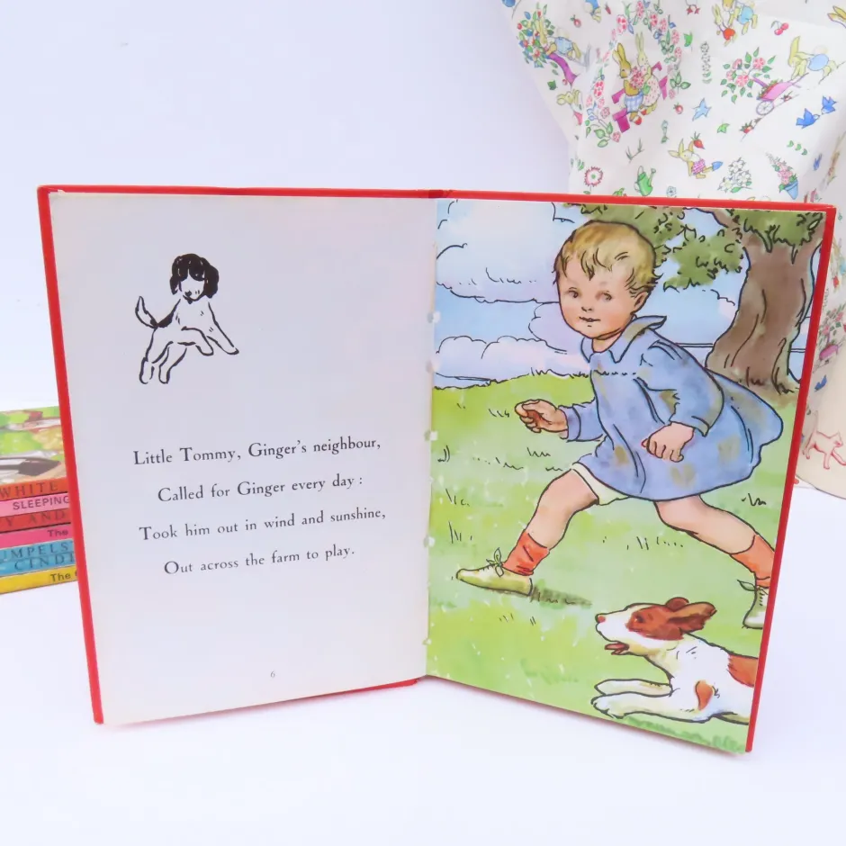 Cottontails Baby Vintage*VINTAGE Ladybird book - Ginger's Adventures (mid 1960s)