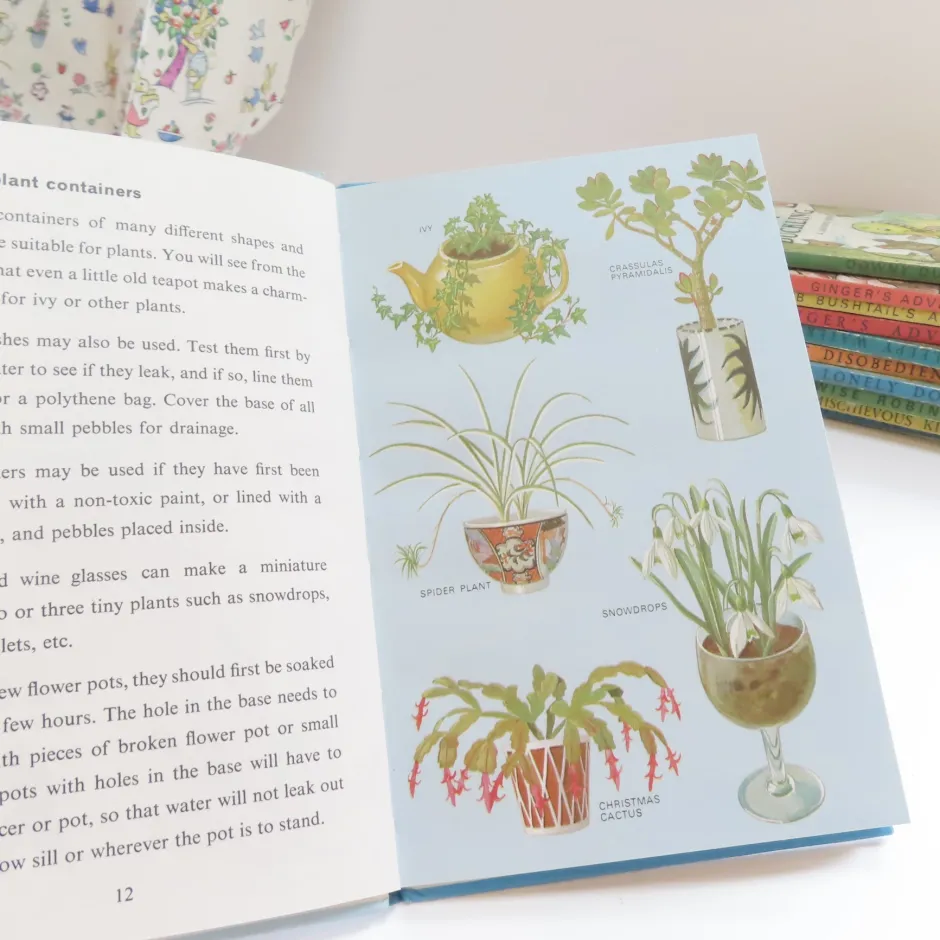 Cottontails Baby Vintage*VINTAGE Ladybird book - Indoor Gardening (c.1971)
