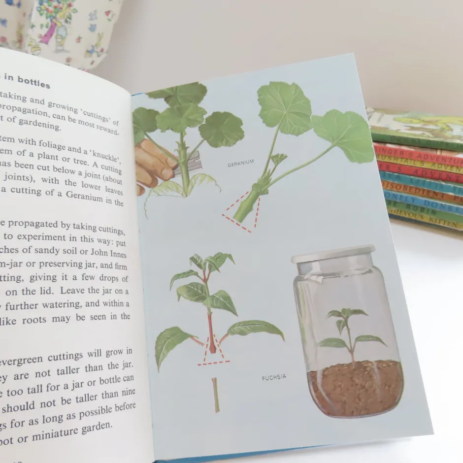 Cottontails Baby Vintage*VINTAGE Ladybird book - Indoor Gardening (c.1971)
