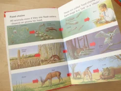Cottontails Baby Vintage*VINTAGE Ladybird book - Living Things (mid-late 1970s)
