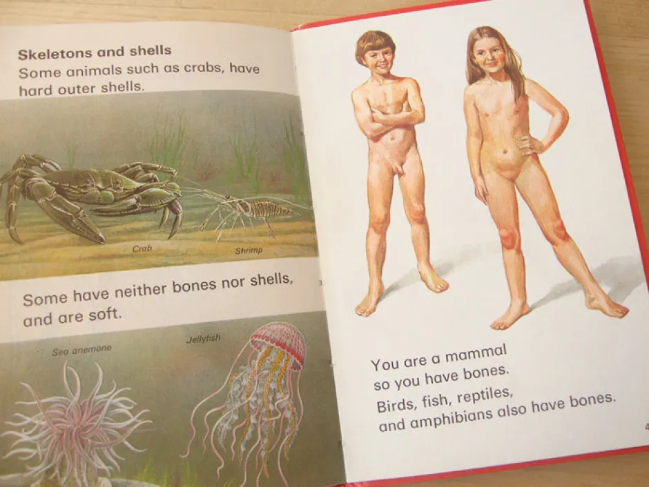 Cottontails Baby Vintage*VINTAGE Ladybird book - Living Things (mid-late 1970s)