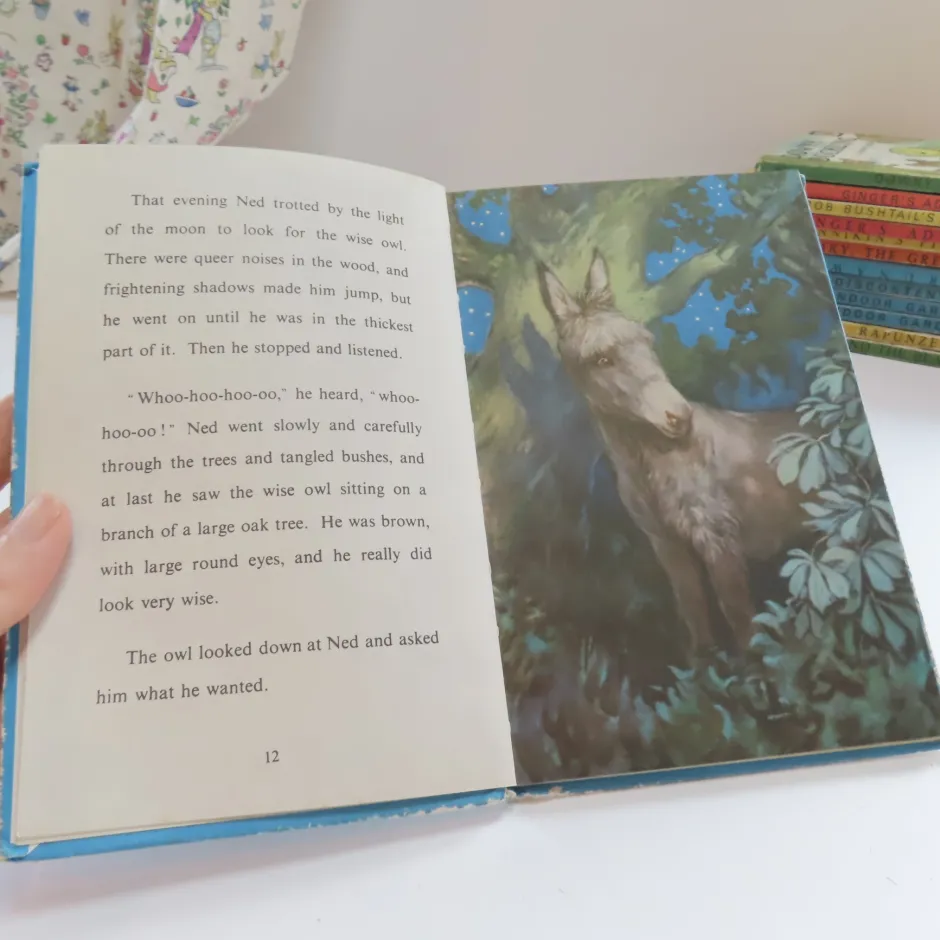 Cottontails Baby Vintage*VINTAGE Ladybird book - Ned the Lonely Donkey (mid 1960s)