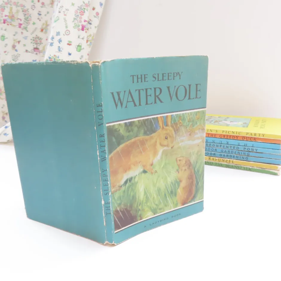 Cottontails Baby Vintage*VINTAGE Ladybird book - The Sleepy Water Vole with DJ (late 1950s)