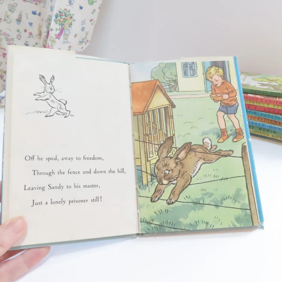 Cottontails Baby Vintage*VINTAGE Ladybird book - The Runaway with DJ (late 1950s)