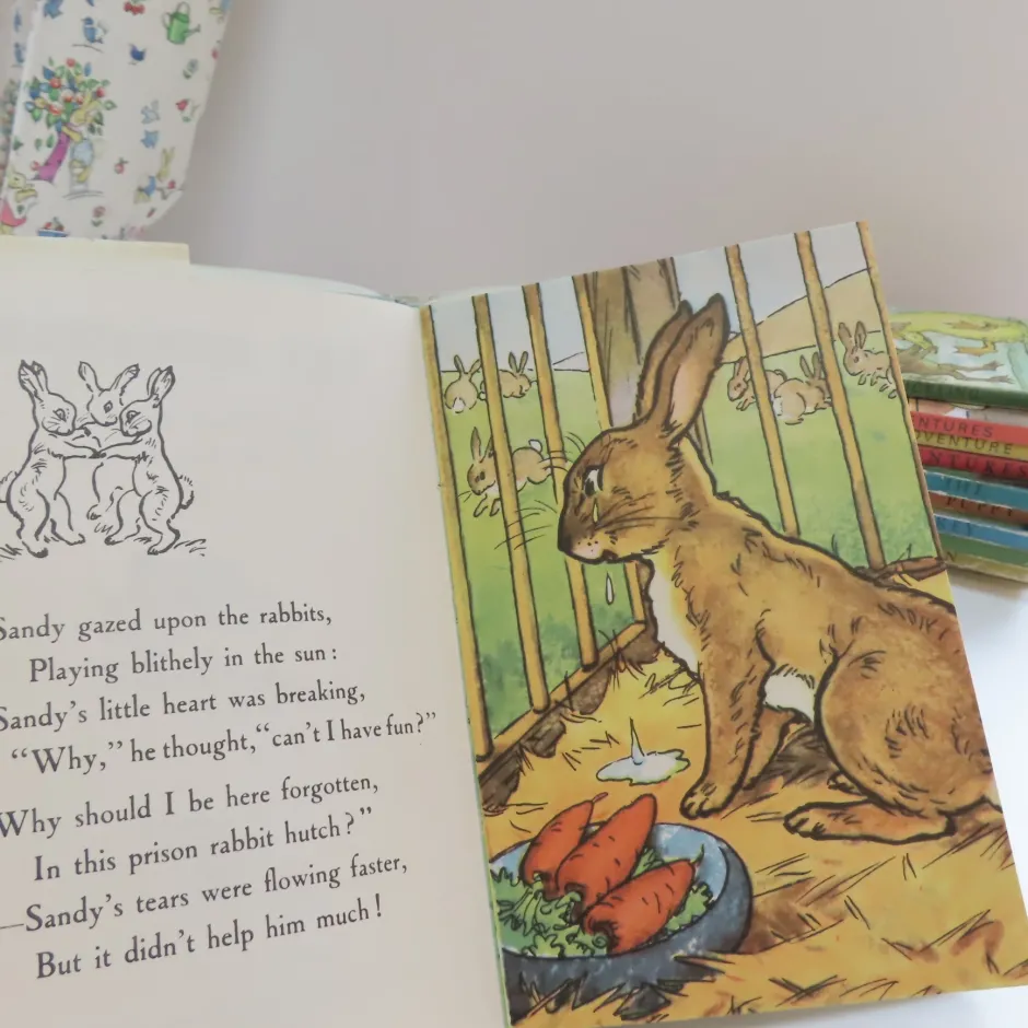 Cottontails Baby Vintage*VINTAGE Ladybird book - The Runaway with DJ (late 1950s)