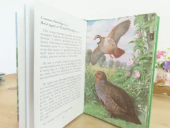 Cottontails Baby Vintage*VINTAGE Ladybird book of Heath and Woodland Birds (1971)