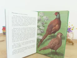 Cottontails Baby Vintage*VINTAGE Ladybird book of Heath and Woodland Birds (1971)